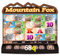 Daily Bonuses 68q